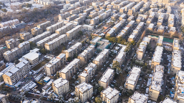 润江雪