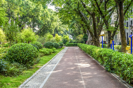 沙面街道街景