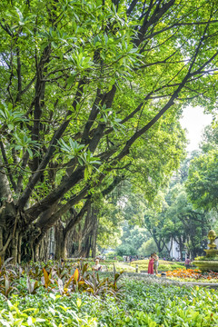 广州沙面街景