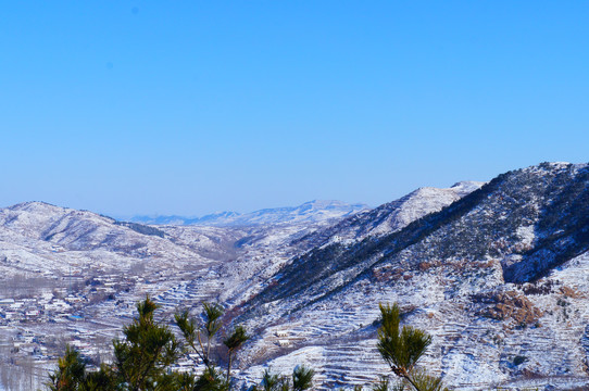 雪后风景