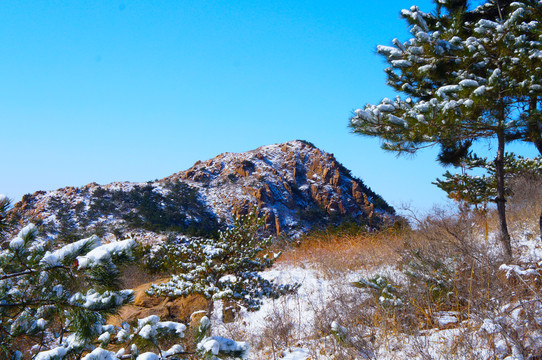 高山雪景