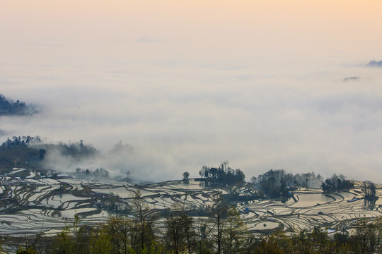 元阳哈尼梯田10