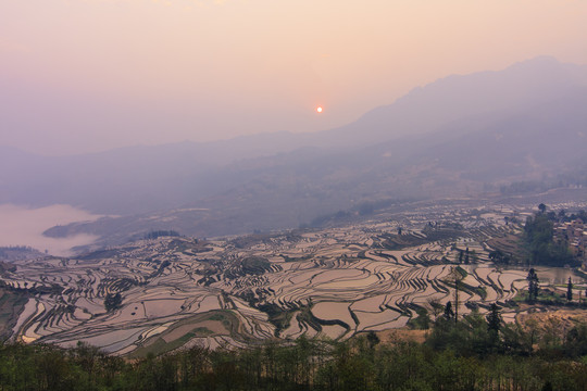 元阳哈尼梯田18