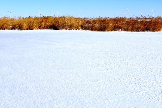 漠北雪景