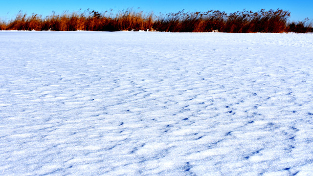 冰天雪地