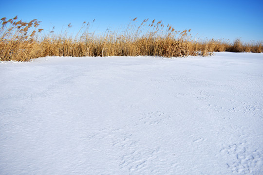 雪域蓝天