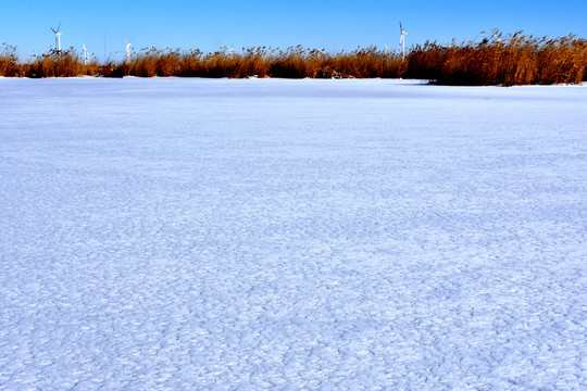 雪原