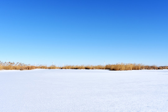 雪乡蓝天