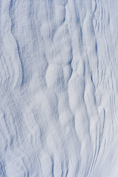 雪地背景
