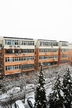 雨雪中的风景