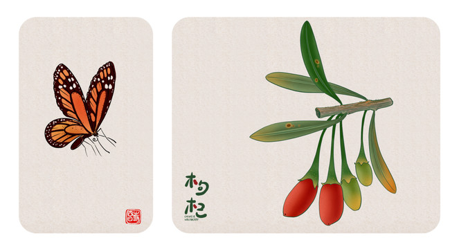 枸杞插圖