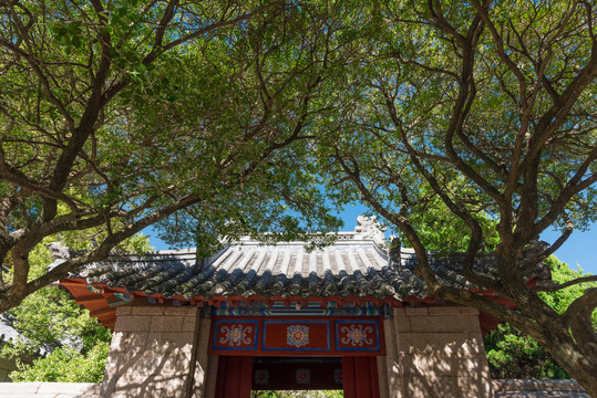 青岛崂山太清宫景区