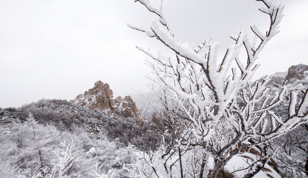 崂山巨峰雪景