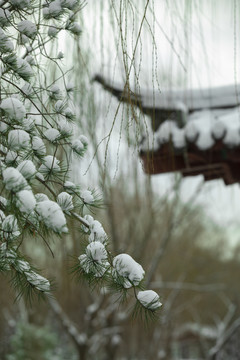 济南大明湖畔雪中情