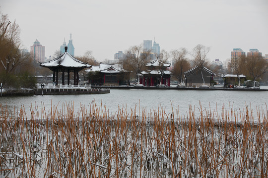 济南大明湖畔雪中情