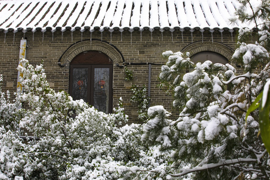 济南大明湖畔雪中情