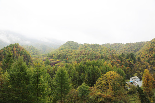 大九湖村落