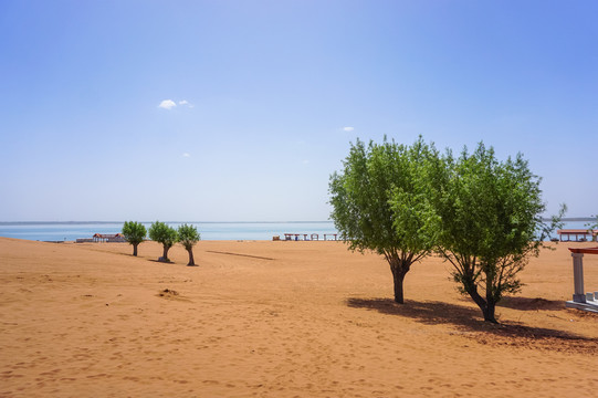 沙漠淡水湖