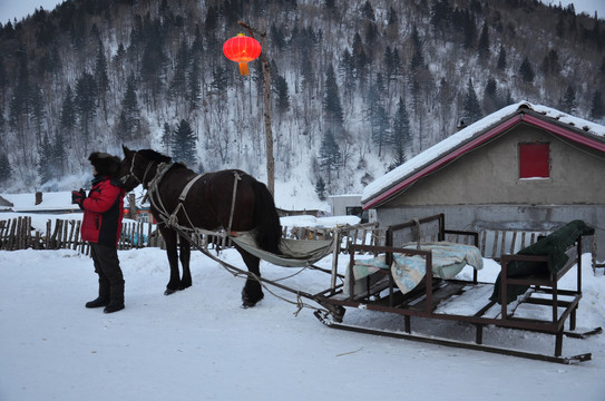 雪乡的冬天