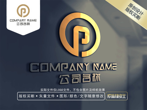 P字母金融LOGO