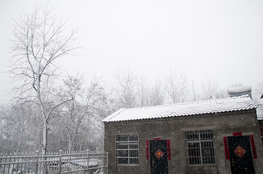 乡村雪景