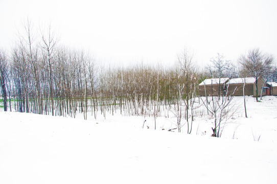 乡村雪景