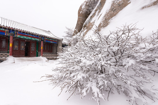 青岛崂山巨峰雪景