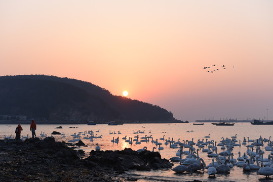 天鹅湖日出