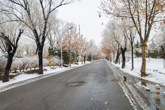 雪后道路