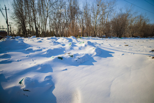 雪地阳光