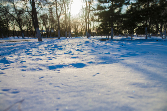 雪地阳光