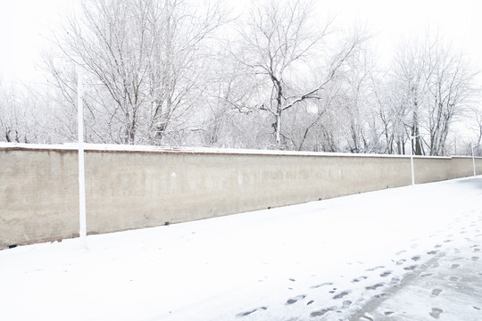 阳光雪地