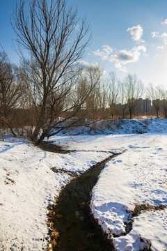 阳光雪地