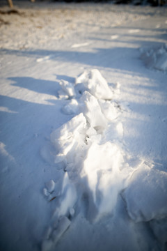 阳光雪地