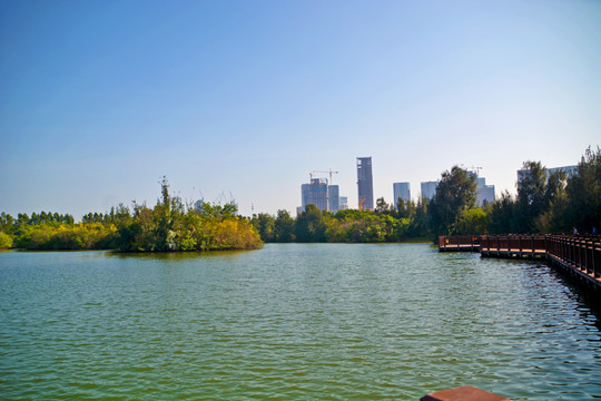 湖畔风景