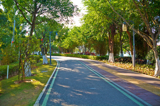 公园道路风景