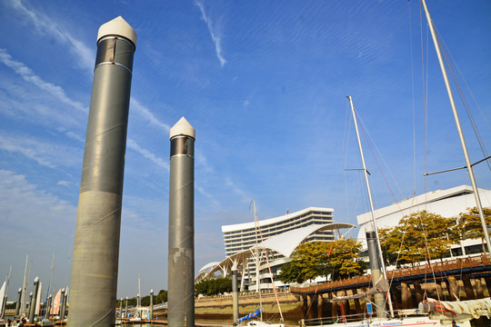 厦门帆船港风景