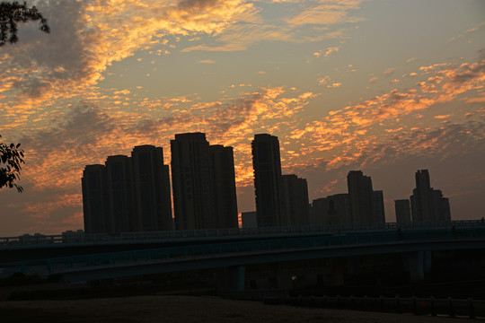 厦门五缘湾建筑风光