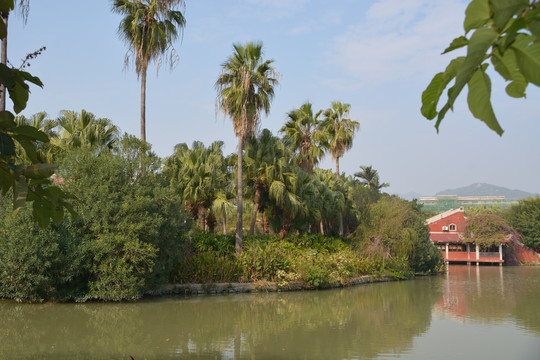 公园湖畔风景