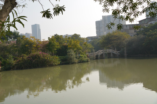 公园湖畔风景