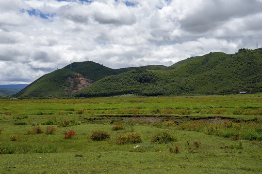 草原牧场