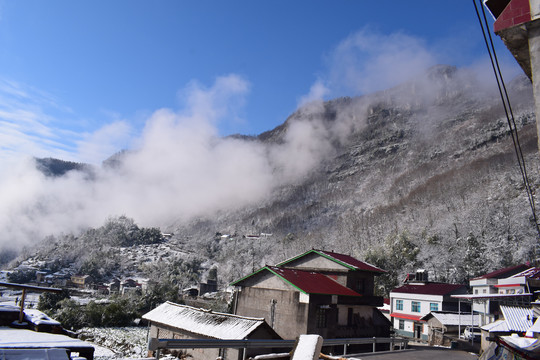 树木风景