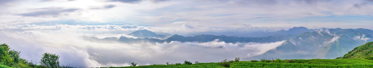 茶山