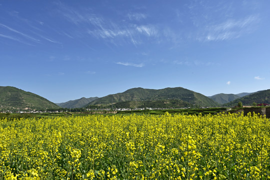 田园风光