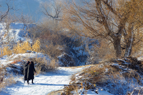 雪后的乡间小路