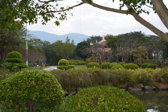 公园绿化风景