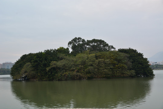 湖中小岛风景