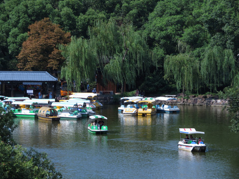 锡惠公园映山湖