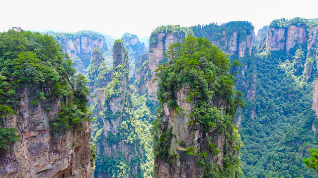 山景美景