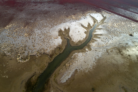 航拍中国江苏省盐城市条子泥湿地